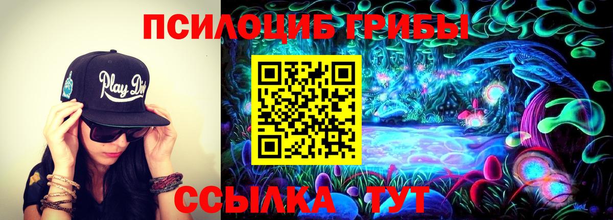 Галлюциногенные грибы прущие грибы  Вход с VPN  наркота  Балахна 