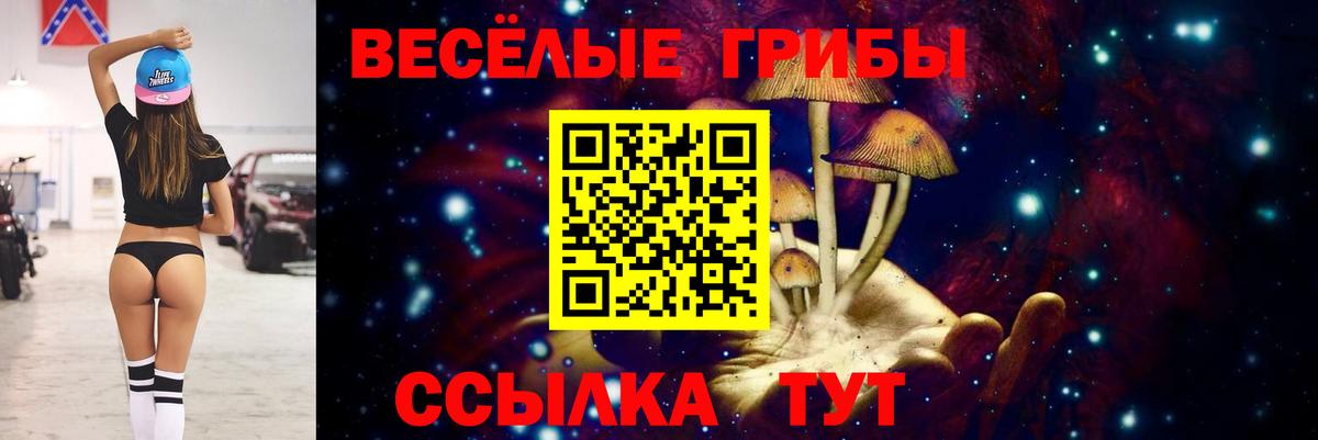 Псилоцибиновые грибы GOLDEN TEACHER Балахна